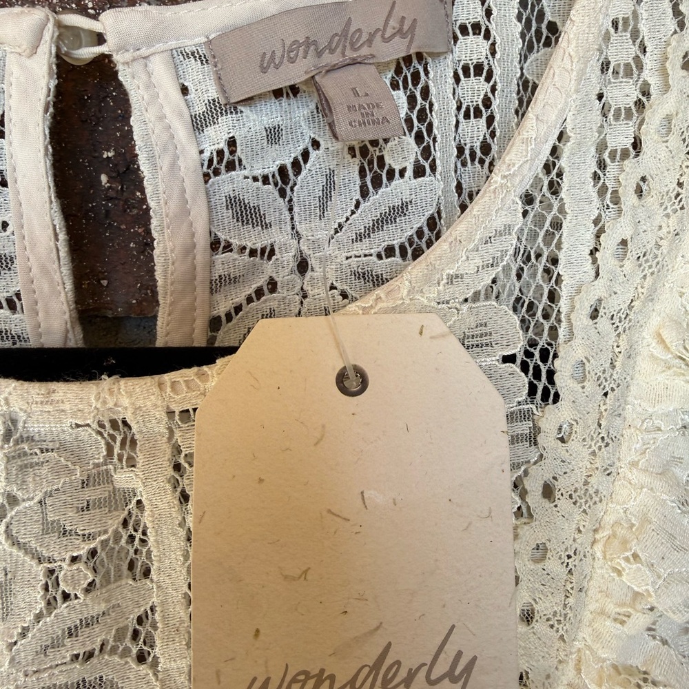Wonderly Cream Lace V-Neck Blouse - Picture 3 of 6